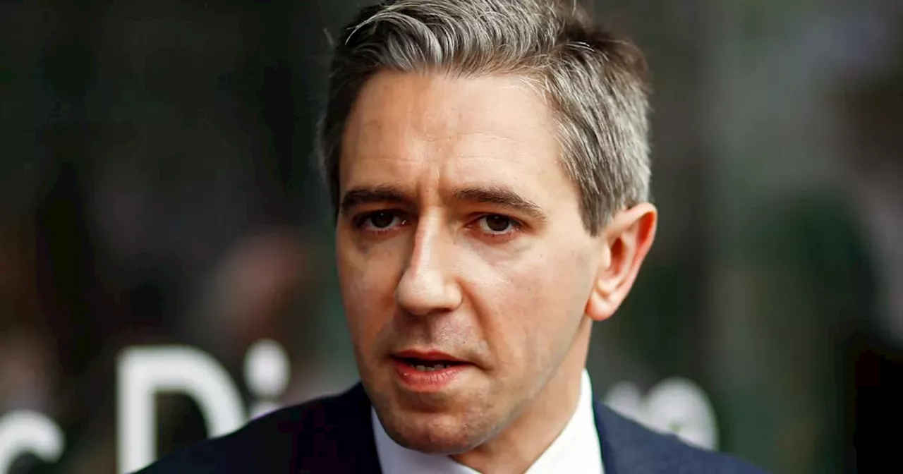 'I'm ready to serve' - Simon Harris set to become new Taoiseach