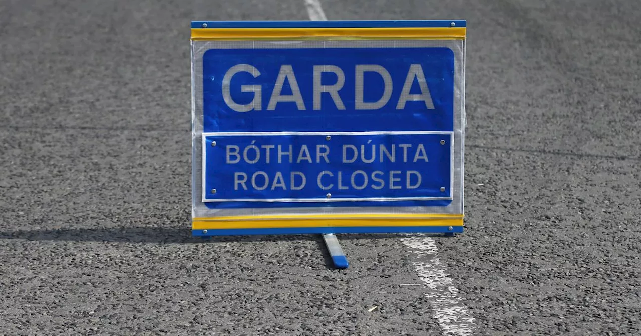 Man, 50s, dies in Cork road tragedy as Gardai issue appeal for witnesses