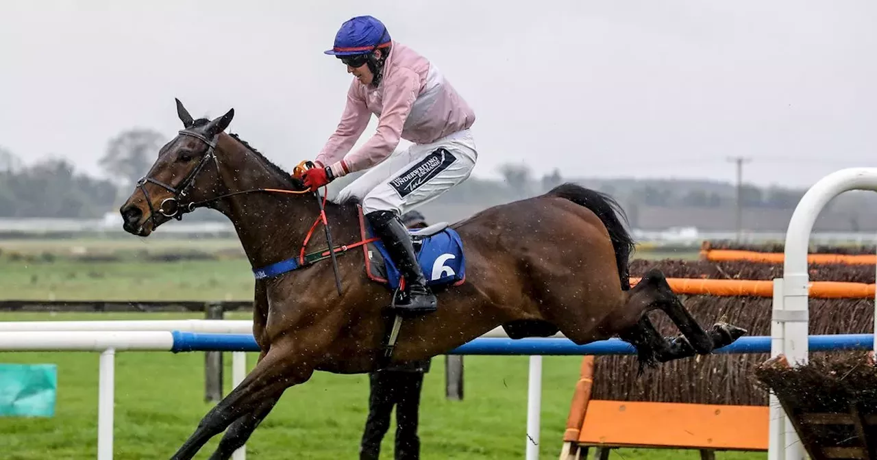 Two-time Irish Grand National winner tips 25/1 shot for 2024 race