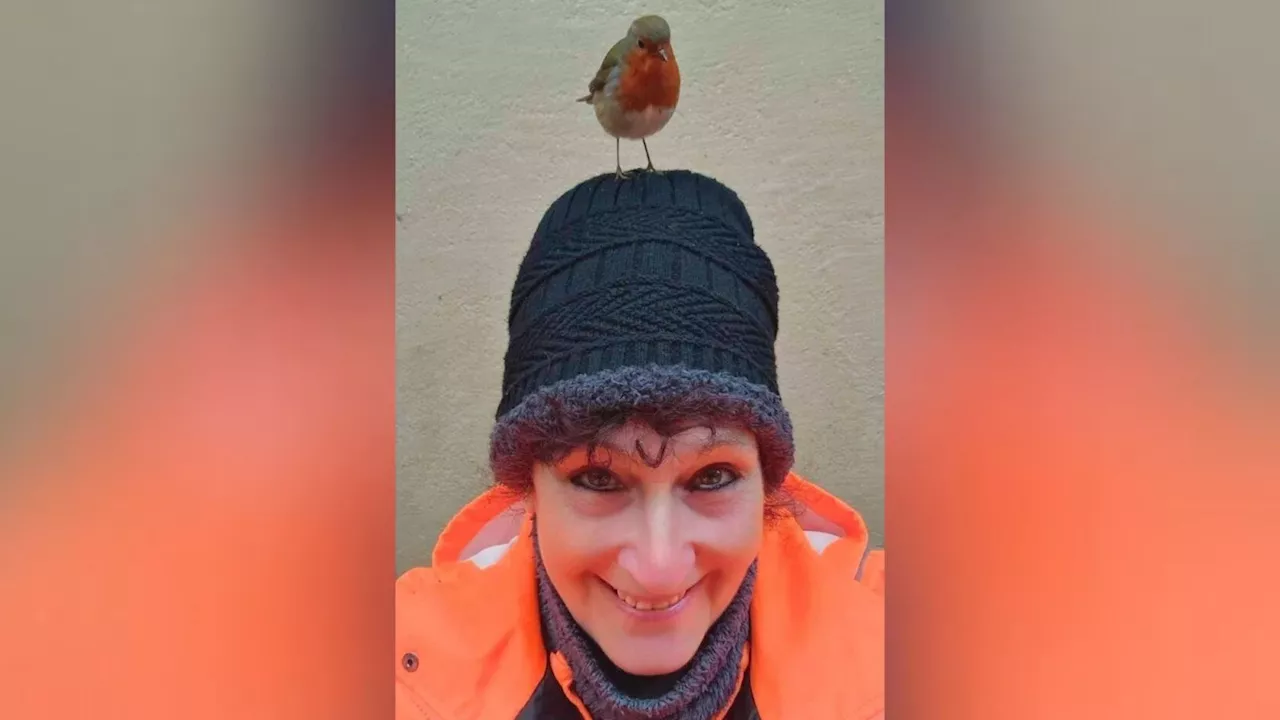 Devon woman befriended by pair of robins believes they are 'a gift' from her late mum