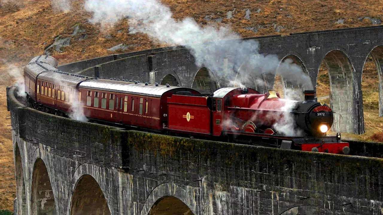 Harry Potter 'Hogwarts Express' suspension 'may cost up to £50 million in lost value'