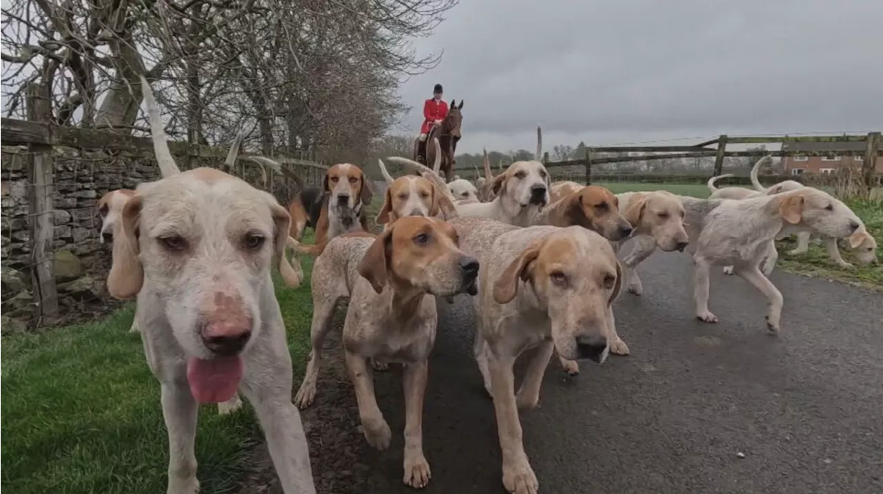 North Yorkshire huntsmen defend drag sport 20 years after fox-hunting ban