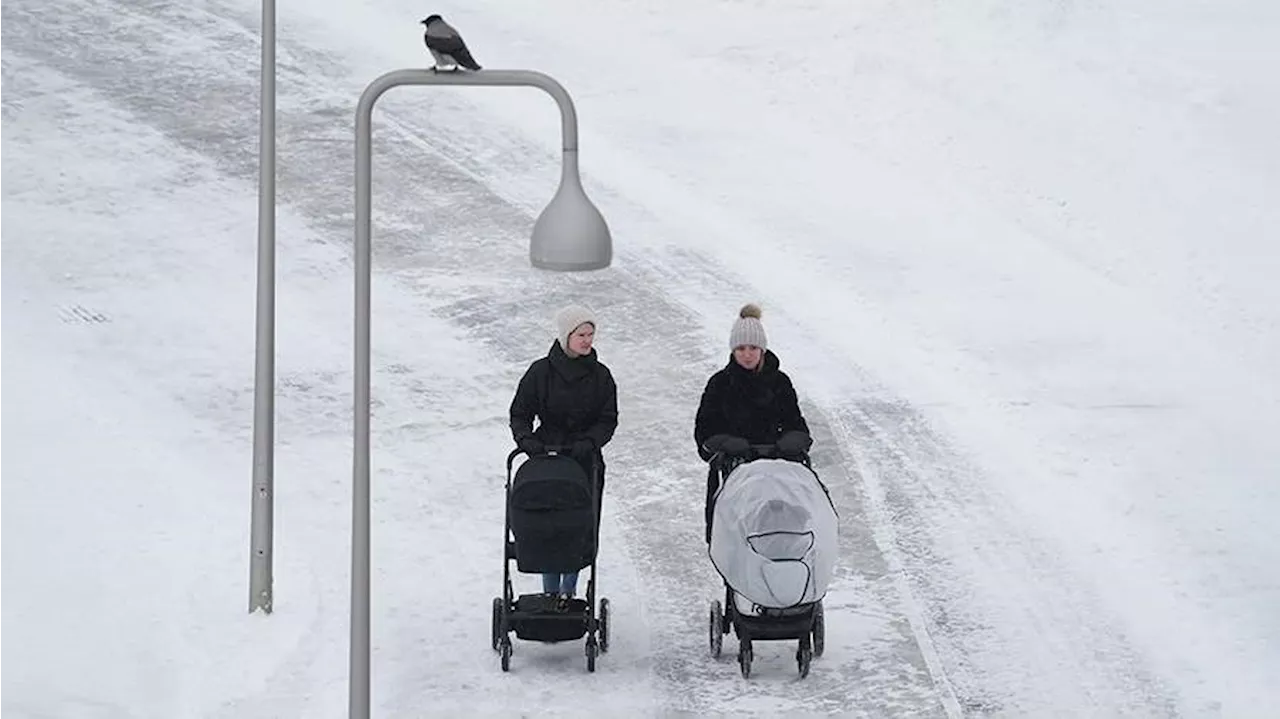 В Госдуме оценили перспективы новых способов траты маткапитала