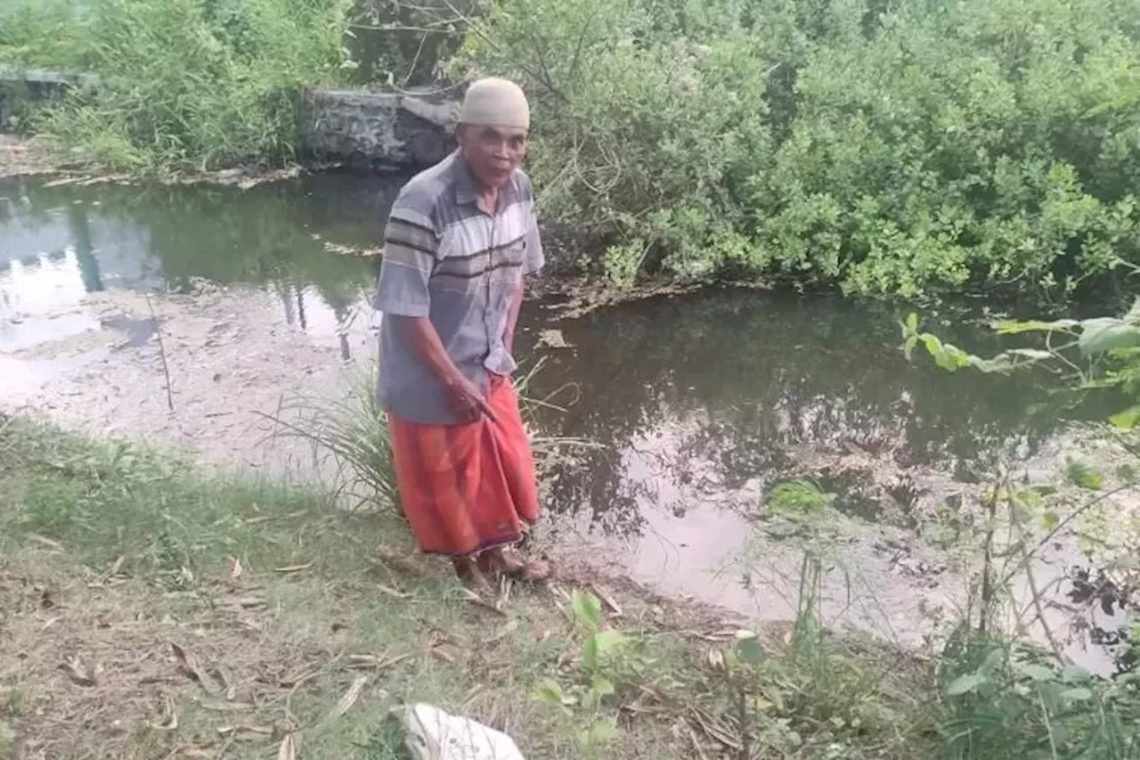 Dua Ekor Buaya Kerap Muncul di Tanggulangin Sidoarjo, Warga Resah Hewan Ternak Kerap Diincar