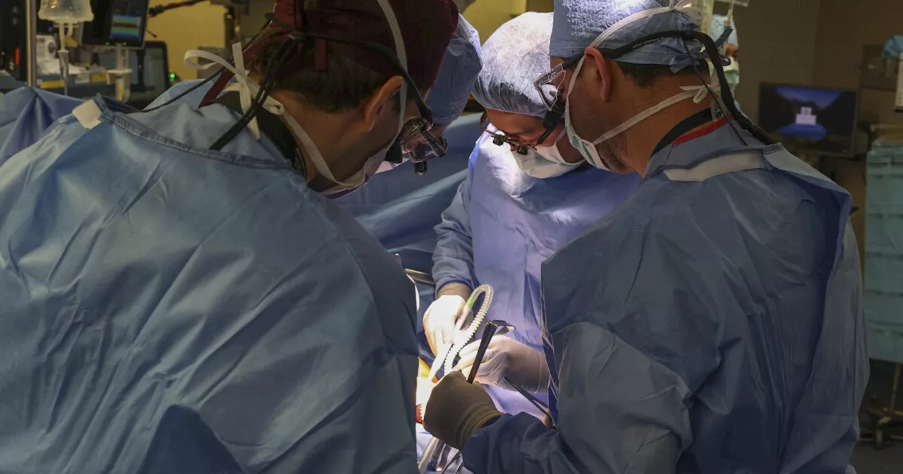 First human transplant of a genetically modified pig kidney performed