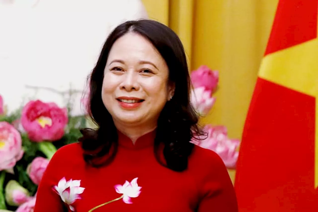 Vietnam's vice president becomes interim president