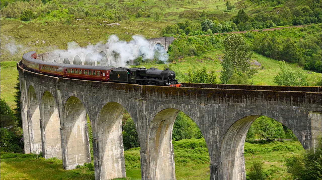 Harry Potter and the health and safety breach: 'Hogwarts Express' train service suspended