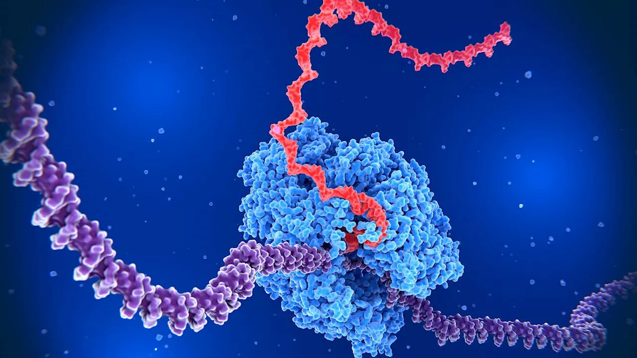 Scientists just discovered a new way cells control their genes — it's called 'backtracking'