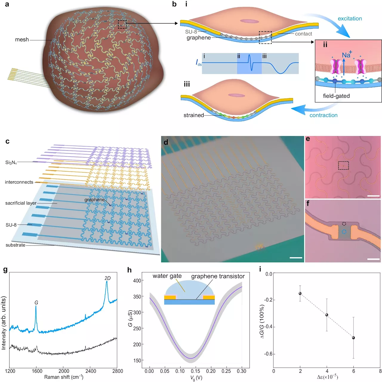 A bioelectronic mesh capable of growing with cardiac tissues for comprehensive heart monitoring