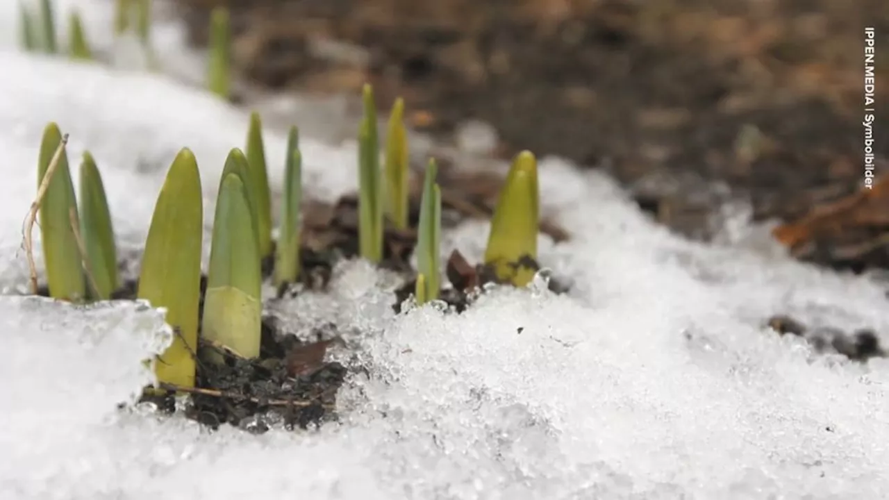 „Der Frühling dreht auf“ – großer Ausblick auf April und Mai