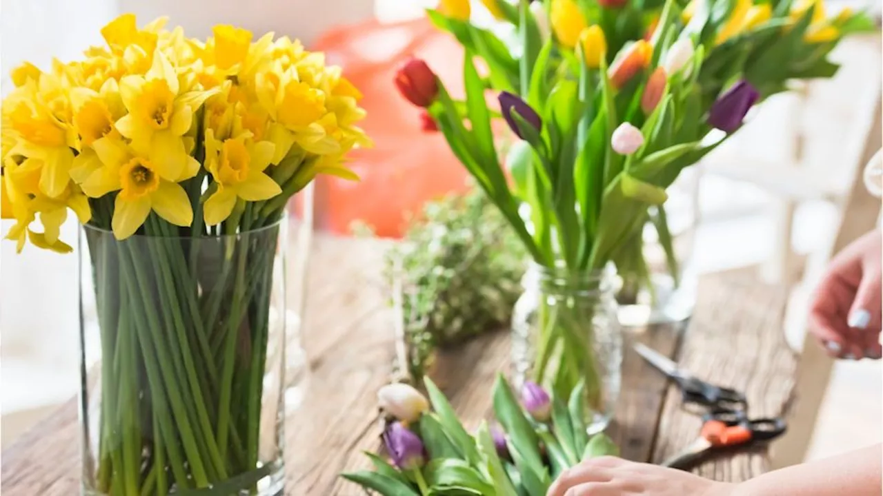 Frühling: Welche Blumen sollte man in der Vase nicht kombinieren?