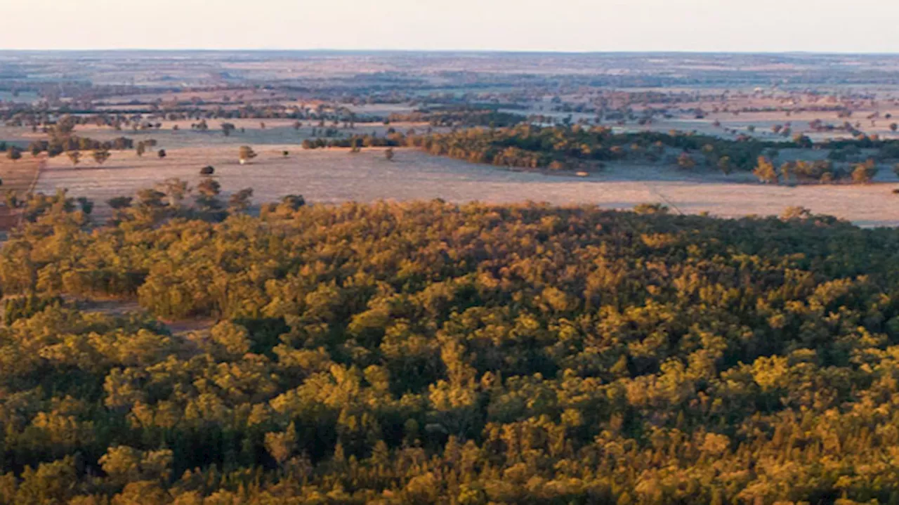 US backs Australian rare earths project with $600m letter of interest