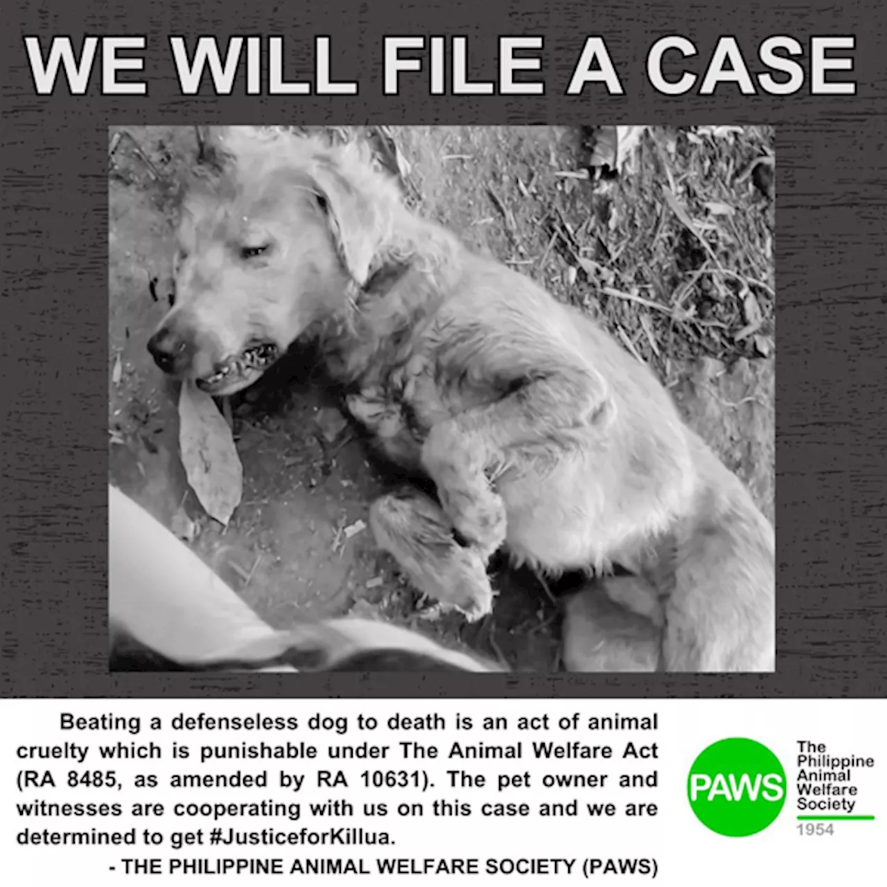 #ANONGBALITA #JusticeForKillua: PAWS planning to file charges