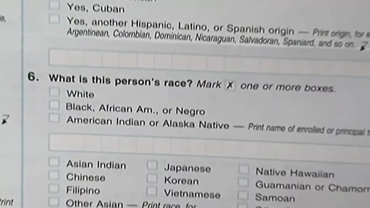 State lawmakers propose ethnicity box for Middle Eastern, North African communities