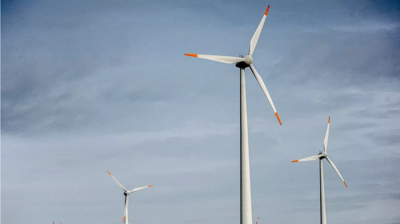 Risse in Rotorblättern entdeckt: Windräder stehen still