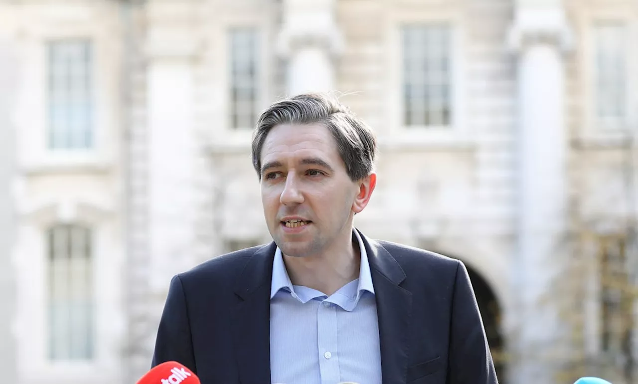 Replacing Leo Varadkar: Starting gun fired on Simon Harris campaign