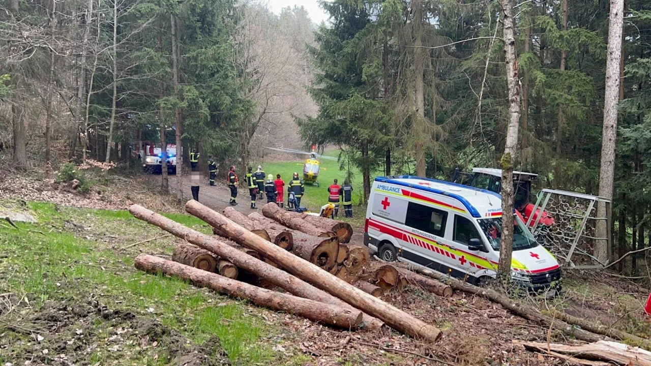 Baumstamm löste sich: Kranführer bei Forstunfall schwer verletzt