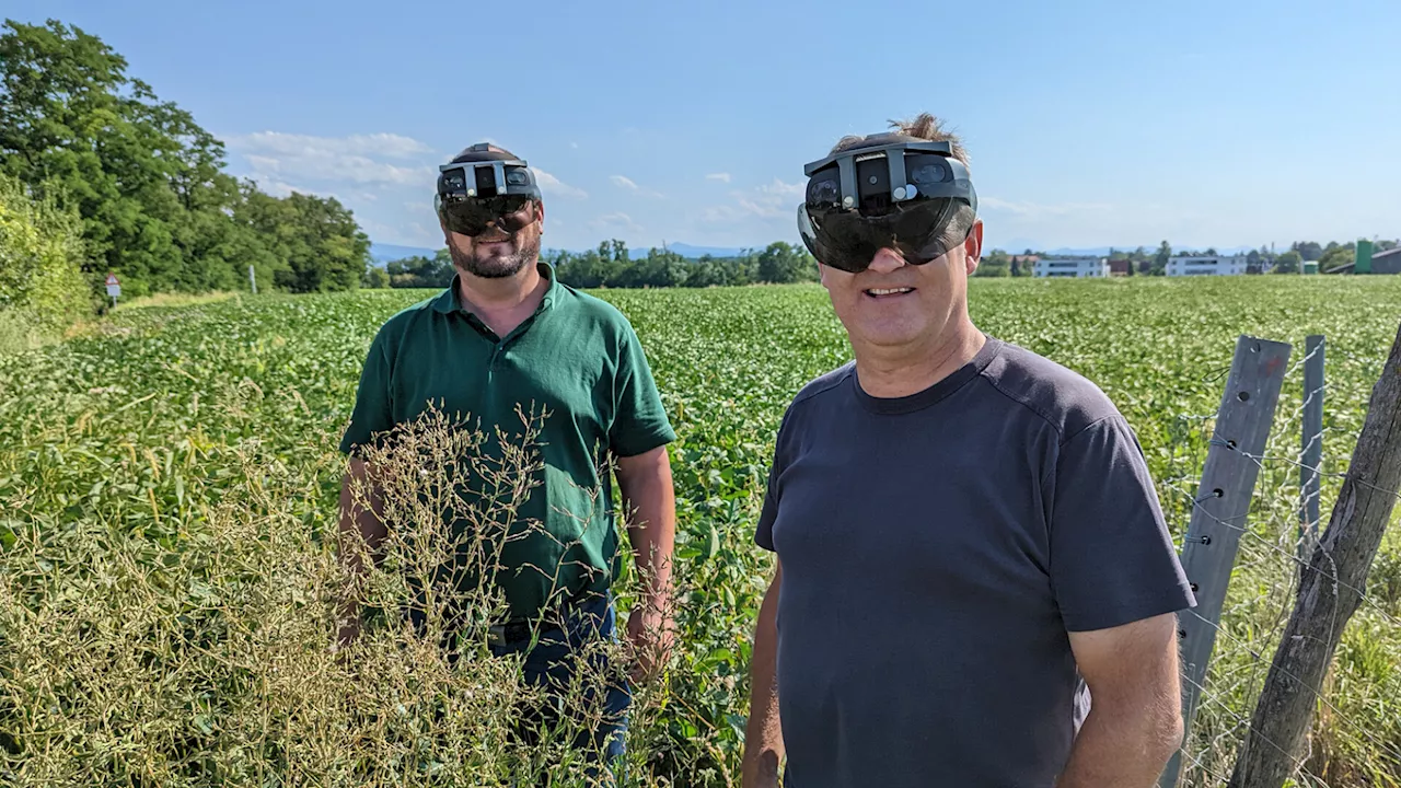 Effizientere Landwirtschaft mit Augmented Reality ermöglichen