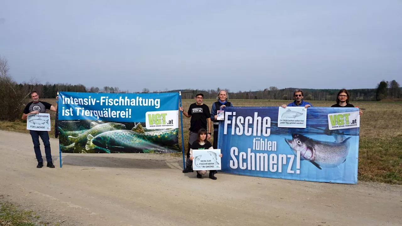 Tierschützer auf den Barrikaden: „Fische fühlen Schmerz“