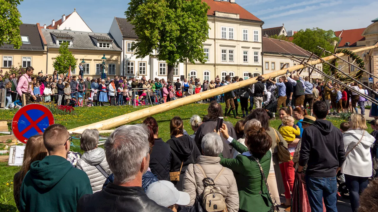 Vespa-Treff bis Mittelalterfest: Der Event-Frühling in Klosterneuburg