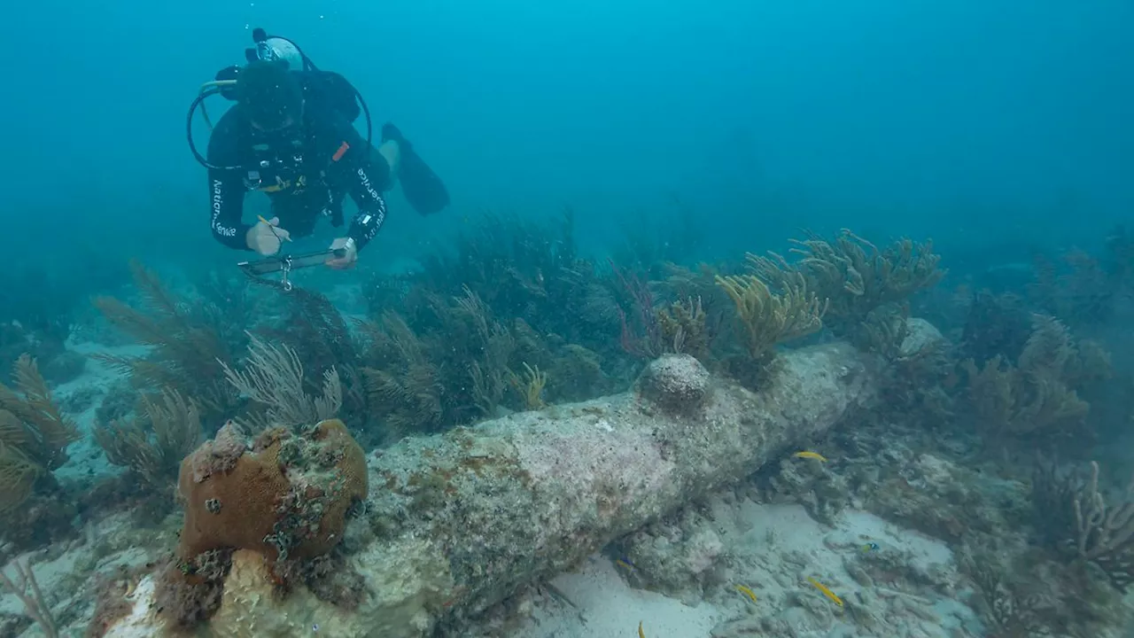 'HMS Tyger' sank vor 282 Jahren: Wrack vor Florida ist verschollenes britisches Kriegsschiff