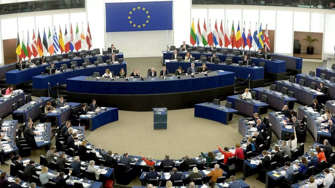 Environnement : cette association évalue les votes des groupes politiques au Parlement européen