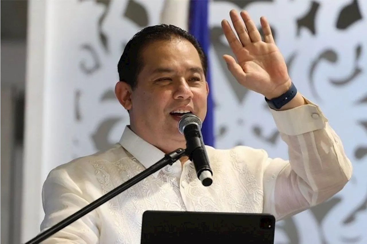 Romualdez designated Palawan 1st district caretaker