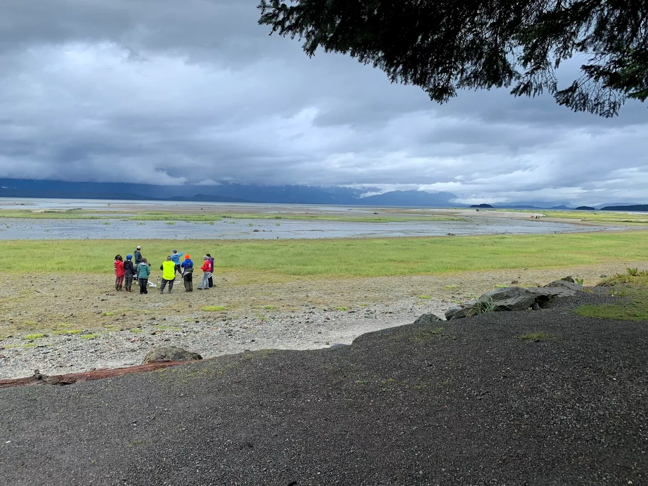 Alaska Native tribes take lead on shellfish toxin testing where state falls short