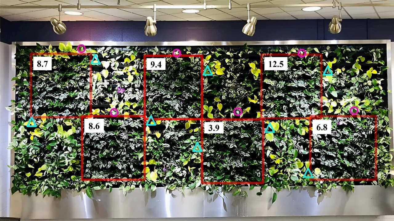 Interior green wall plants treated with antigibberellin plant growth regulators show controlled stem growth