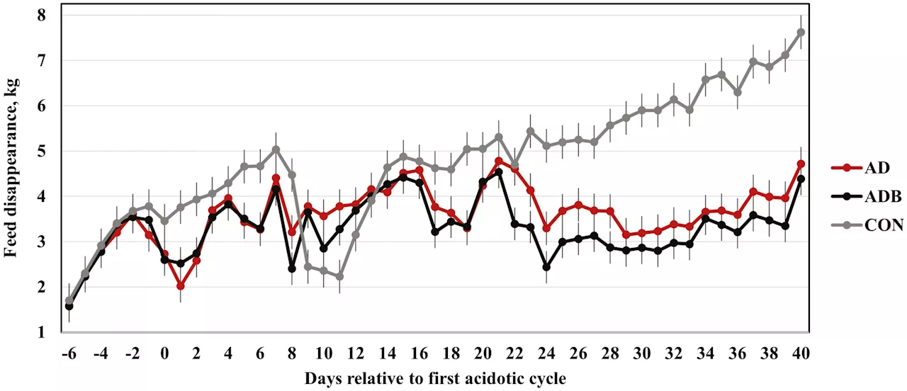 Scientists collaborate to study the cause and development of liver abscesses in cattle