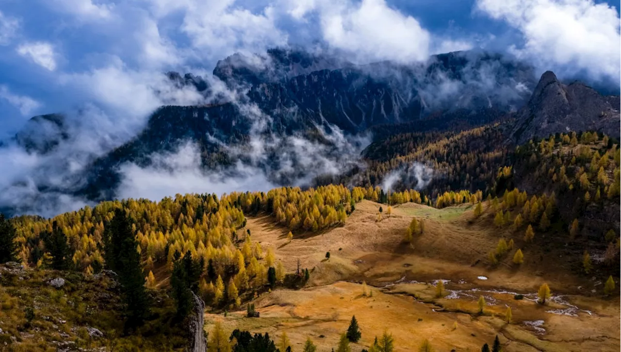 Un milione di ettari di bosco certificato, la metà è in Trentino-Alto Adige