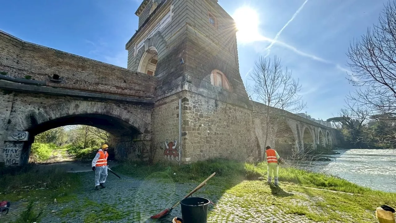 Un belvedere sul fiume all'ombra di Ponte Milvio. Ecco l'oasi naturalistica di Roma nord