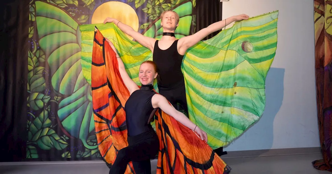 Light in the Forest delivers mental health message through art, music, dance in Kentville, N.S.