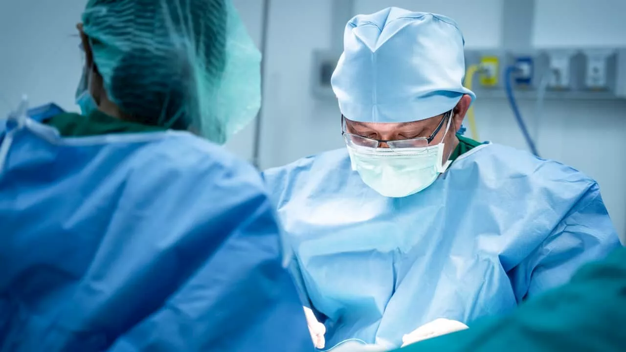 US surgeons perform first pig-to-human kidney transplant