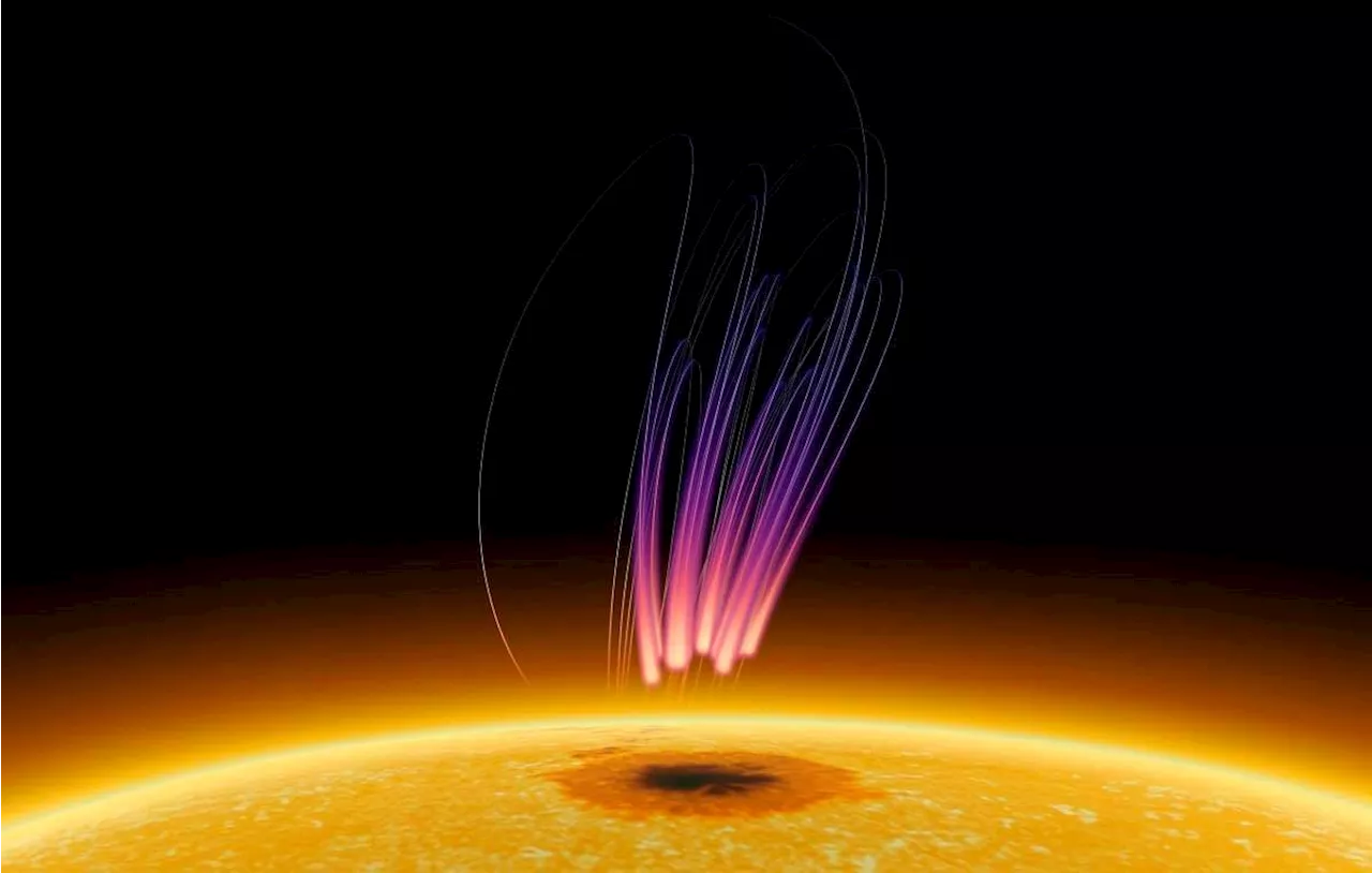 Astronomers Discover Surprising Radio Signals Emanating From the Sun