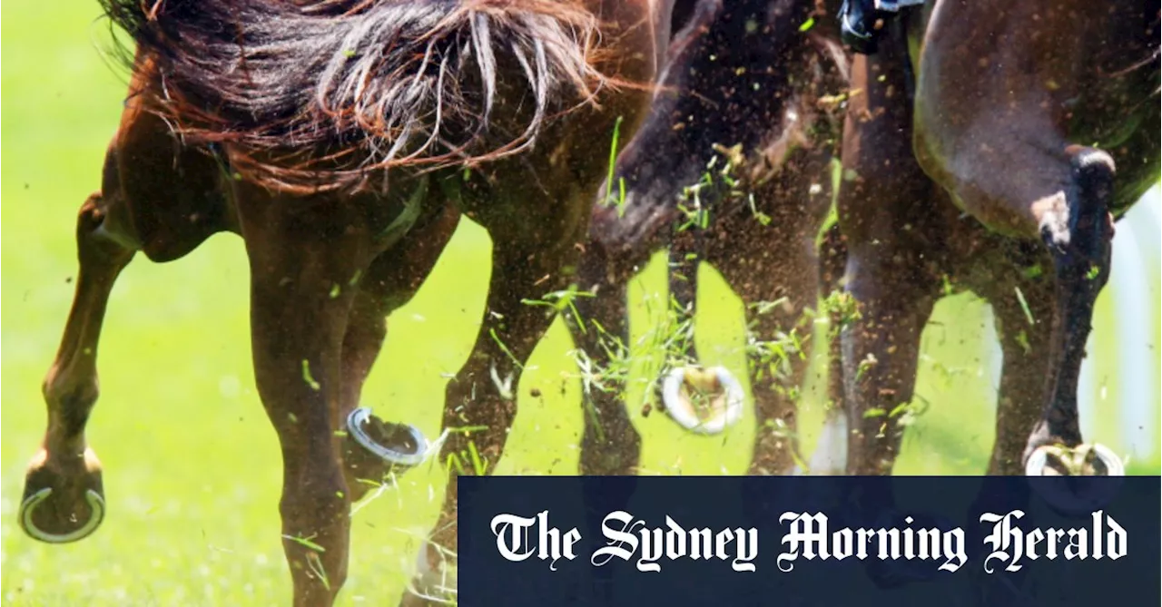 Race-by-race preview and tips for Albury meeting on Friday