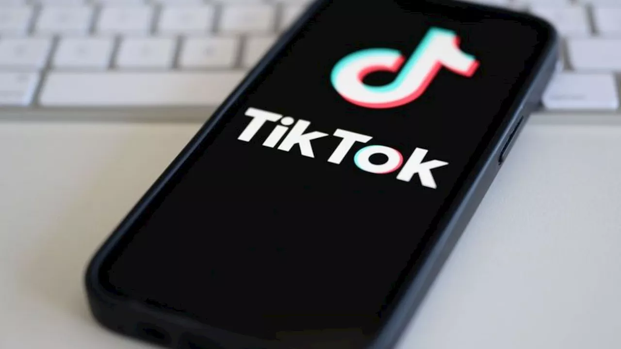 Internet: Deutsche Politiker für schärferes Vorgehen gegen Tiktok