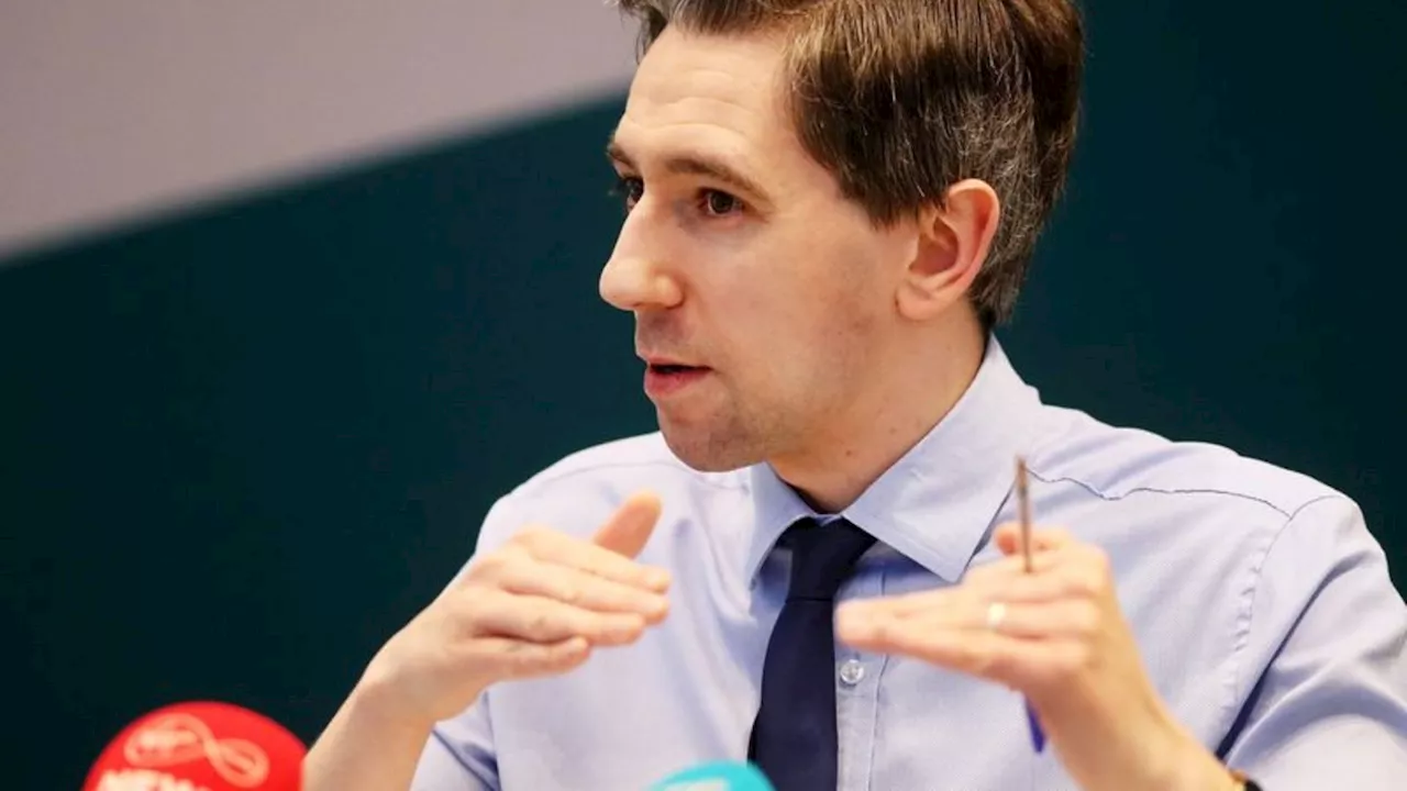 Nach Rücktrittsankündigung: Wird Minister Harris neuer Regierungschef in Irland?