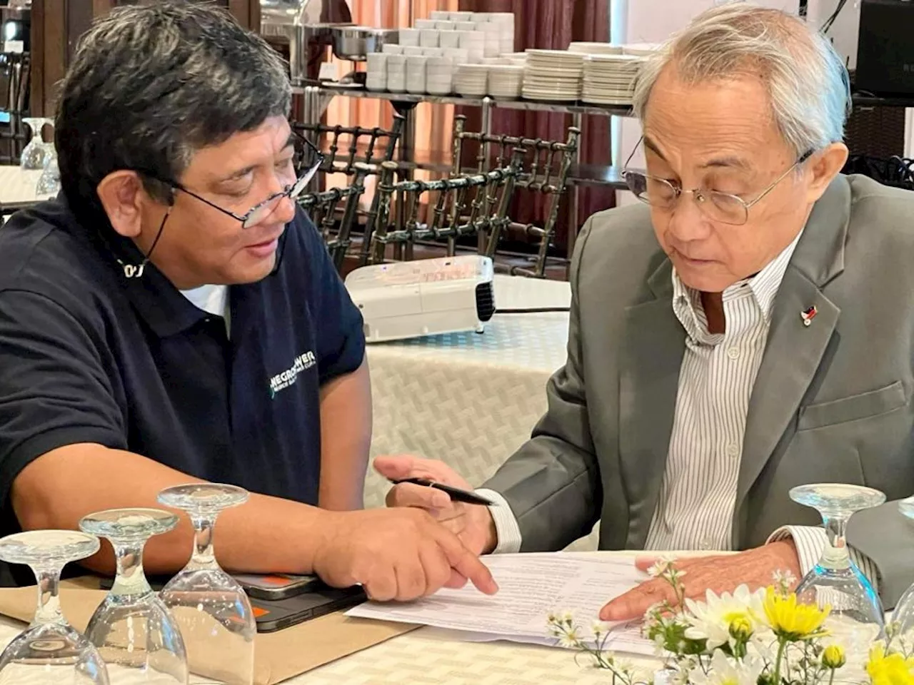 Bizmen eyeing to create power dev't coordinating council