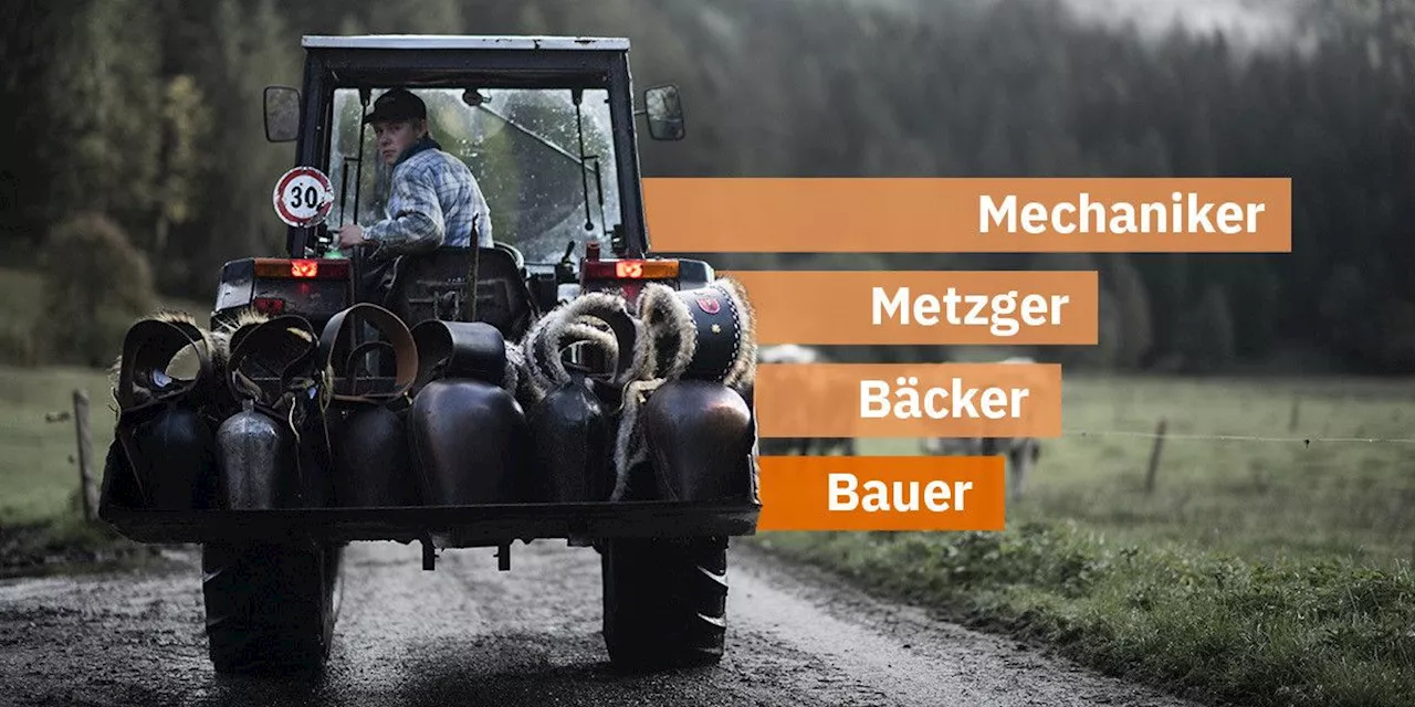 Bauernproteste: Datenanalyse zeigt, wie viel Schweizer Landwirte verdienen – im Vergleich mit anderen Berufen