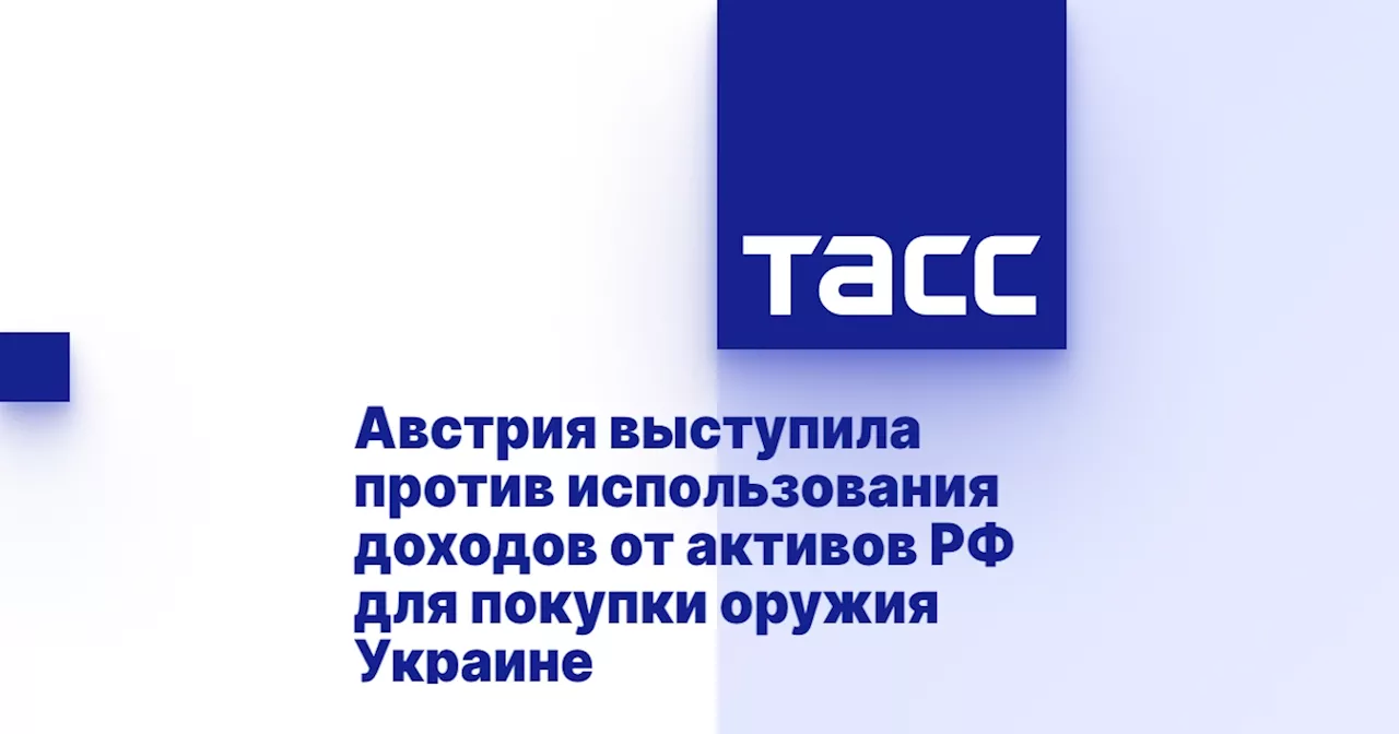 Австрия выступила против использования доходов от активов РФ для покупки оружия Украине