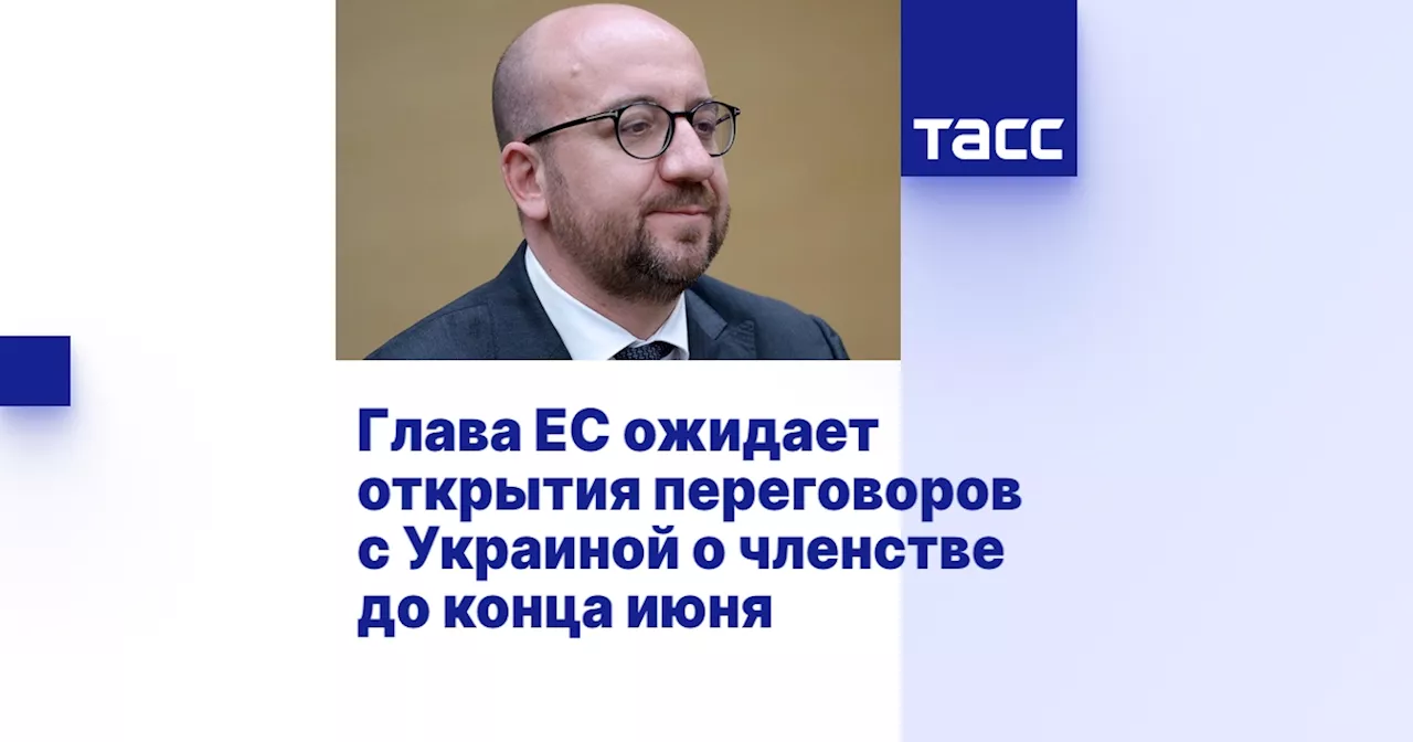 Глава ЕС ожидает открытия переговоров с Украиной о членстве до конца июня