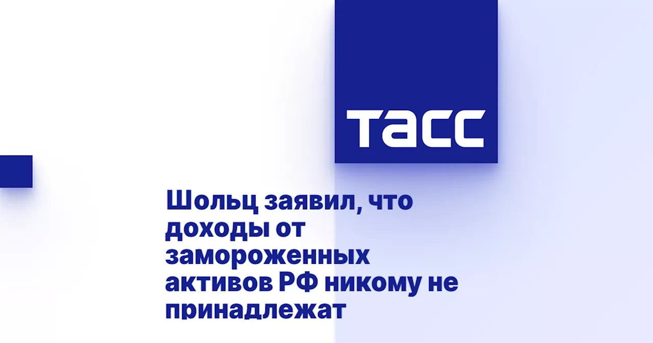 Шольц заявил, что доходы от замороженных активов РФ никому не принадлежат