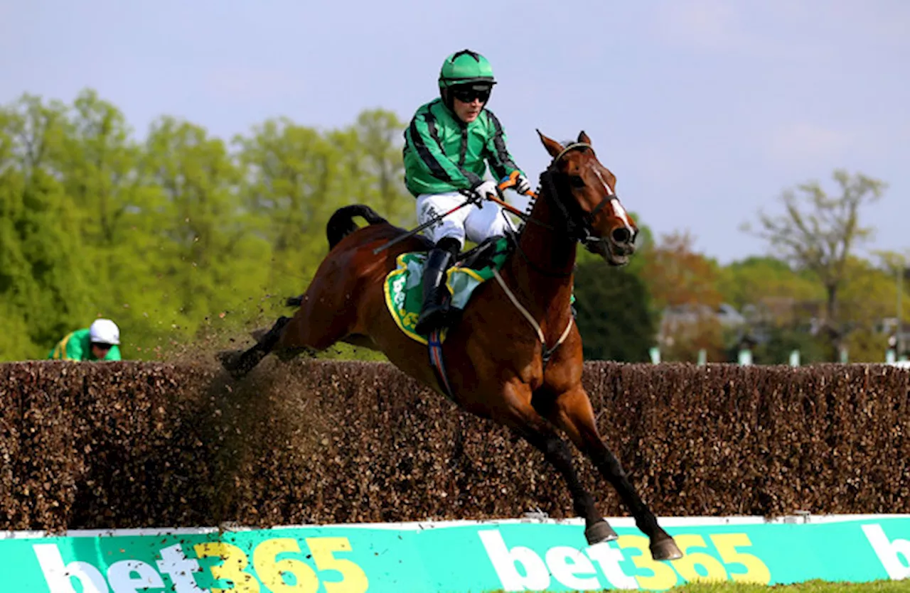 No Grand National fairytale for €850 horse Hewick, with Aintree Bowl set as next target