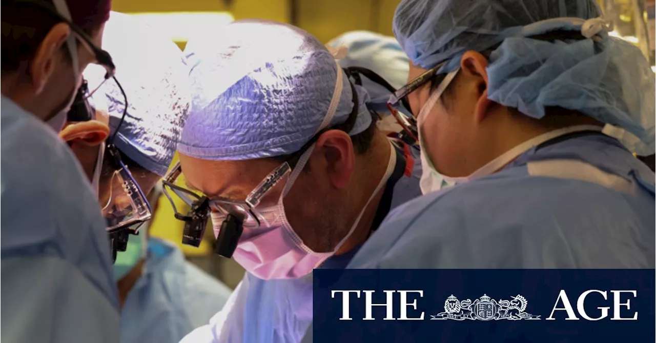 Surgeons transplant gene-edited pig kidney into living human for first time