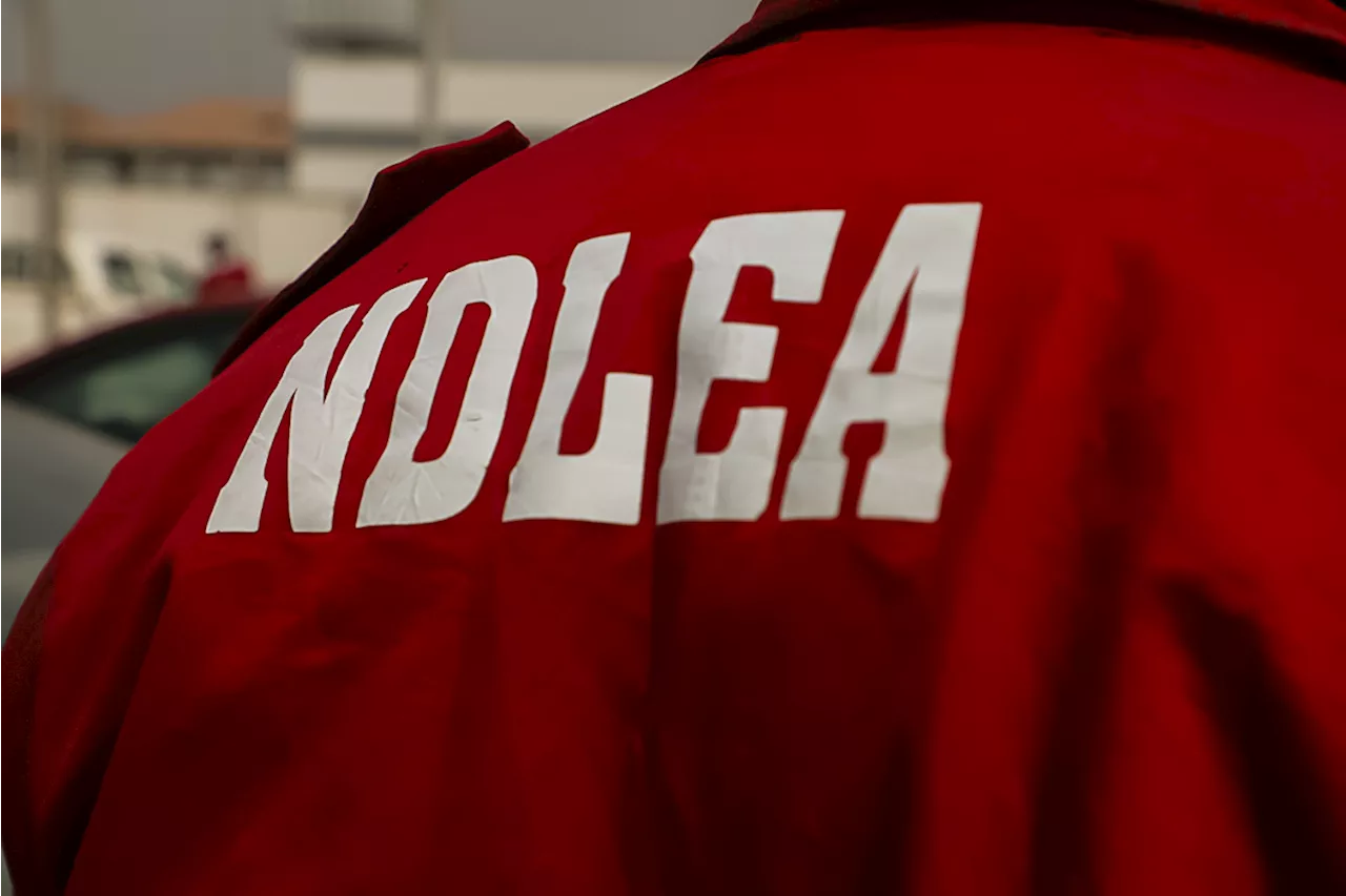 NDLEA to hotel owners in Katsina: Don't allow drug use in your facilities