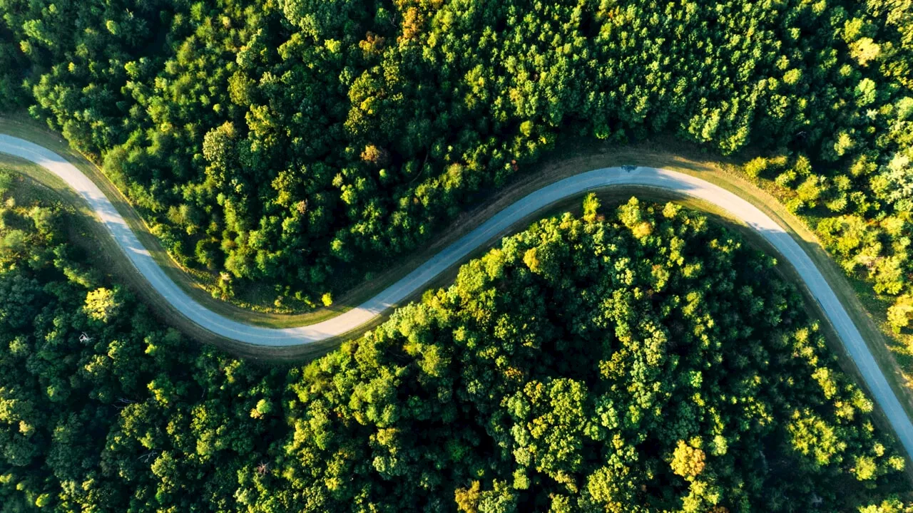 "Ho piantato 7.000 alberi nella zona più inquinata d'Europa: il cambiamento è miracoloso"