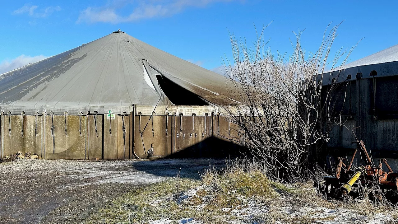 Små søer af gylle: Større gylleudslip udenfor Sønder Onsild