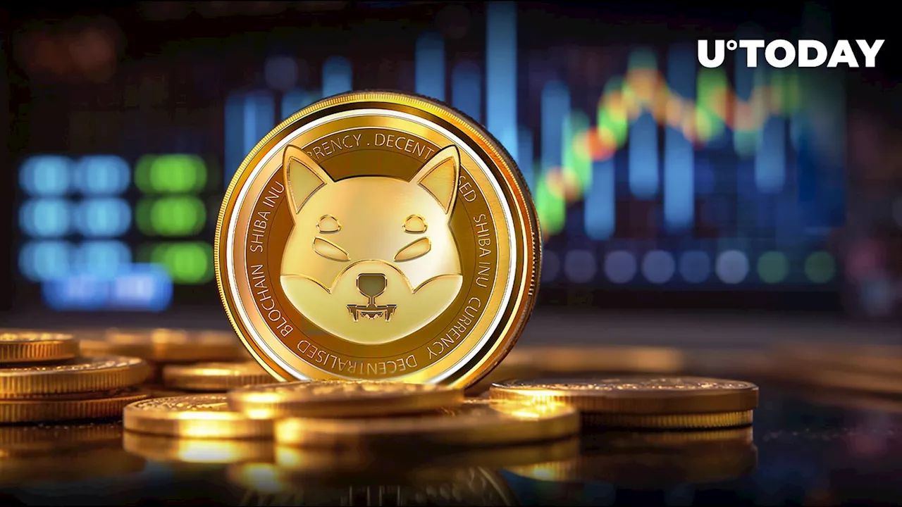 Shiba Inu Skyrockets 260% as Over 31 Million Tokens Destroyed