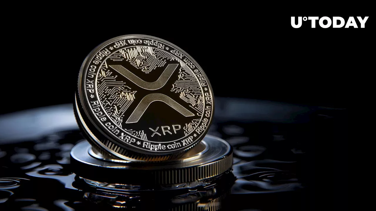 XRP Suddenly Adds $3 Billion to Market Cap in Just 24 Hours